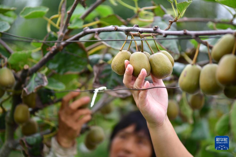 拉斯维加斯金沙公司